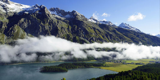 4480822_3_e877_ill-4480822-ccf5-rea-221352-001_0cbc6f79e9abbfc80e979c2b7e4410e4